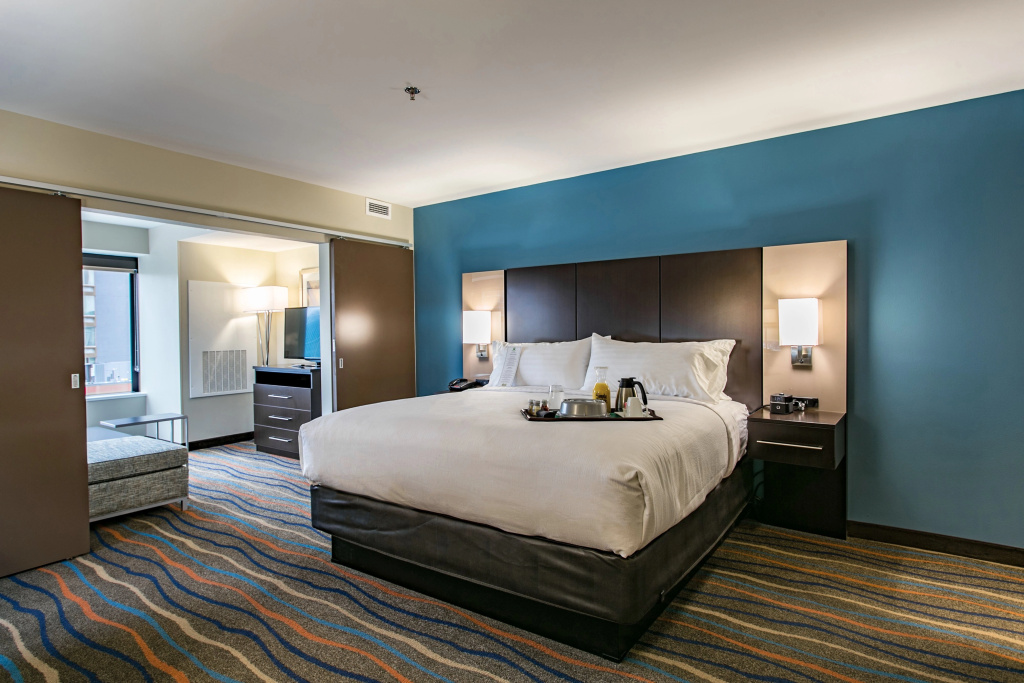 Holiday Inn Hotel & Suites Chattanooga Downtown by IHG - Général