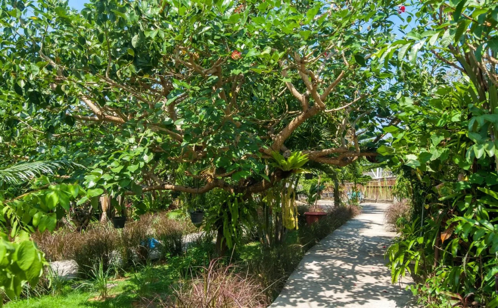 Maso Christian Villa Canggu