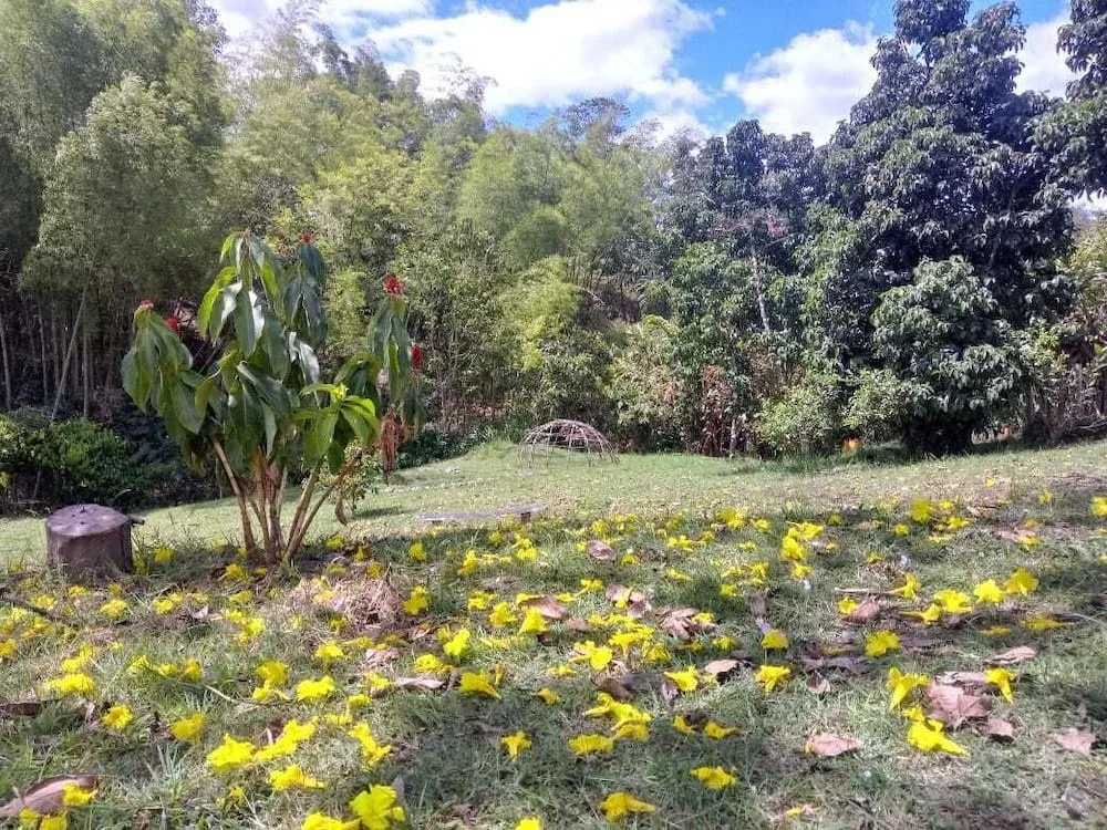 Posada Aguanile Finca La Diana