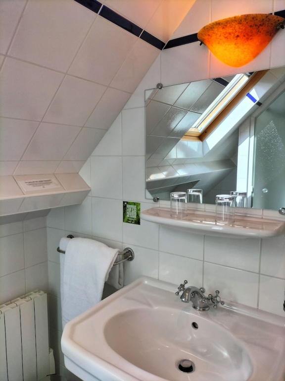 Standard Attic room