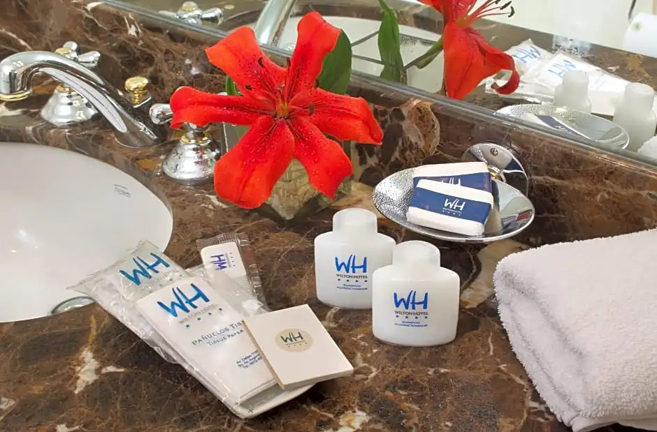 Wilton Hotel - Chambres