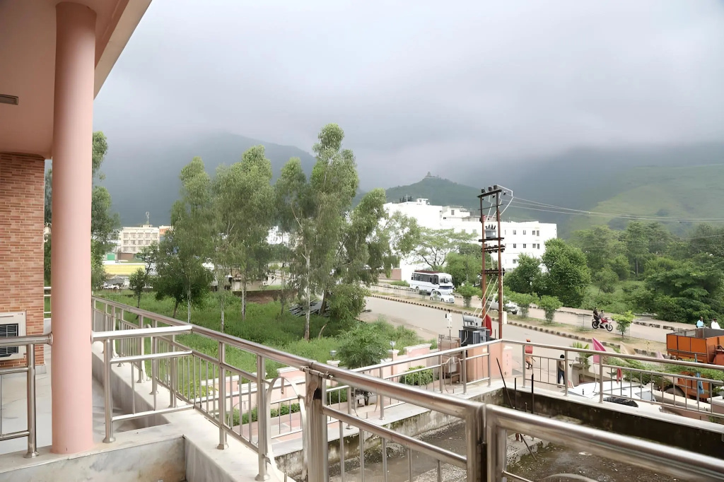 Hotel Shree Palace - Général