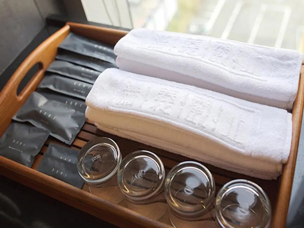 Chiayi Guanzhi Hotel - Chambres