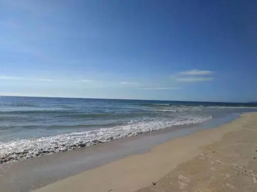 Beach & Waterfront