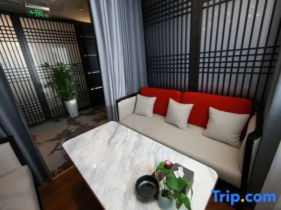 Balcony & Terrace