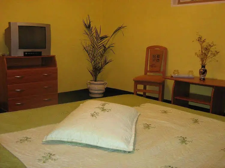 Pension Casa Dan - фото 3