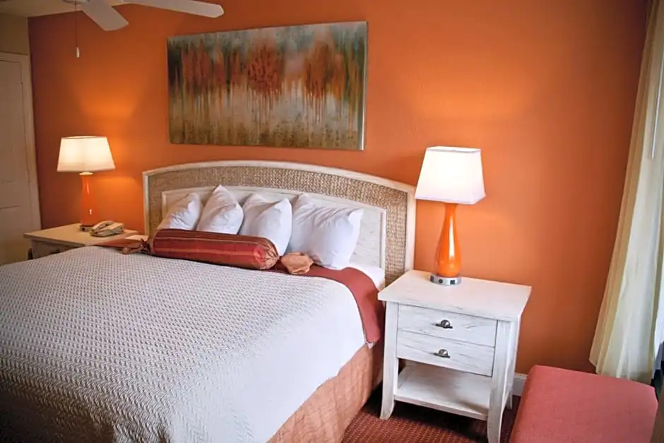 Magic Tree Resort - Chambres