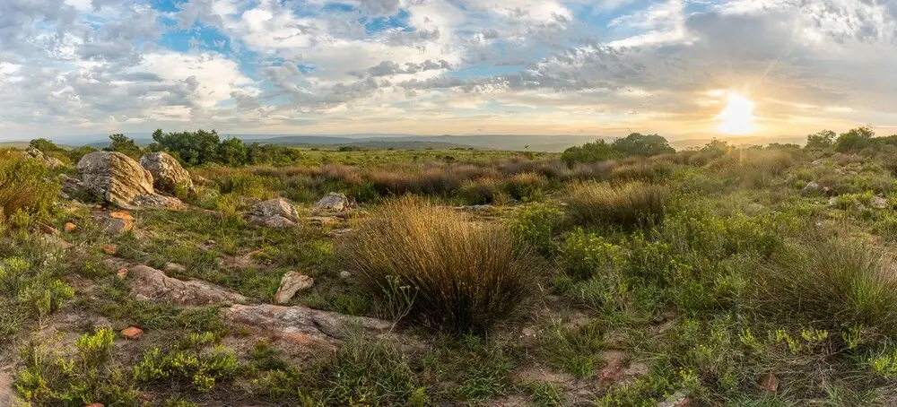 Lobengula - фото 7