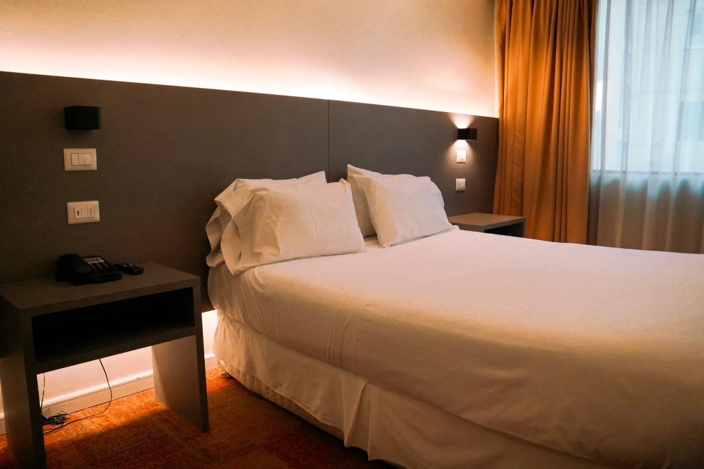 Hotel Torremayor Lyon - Général