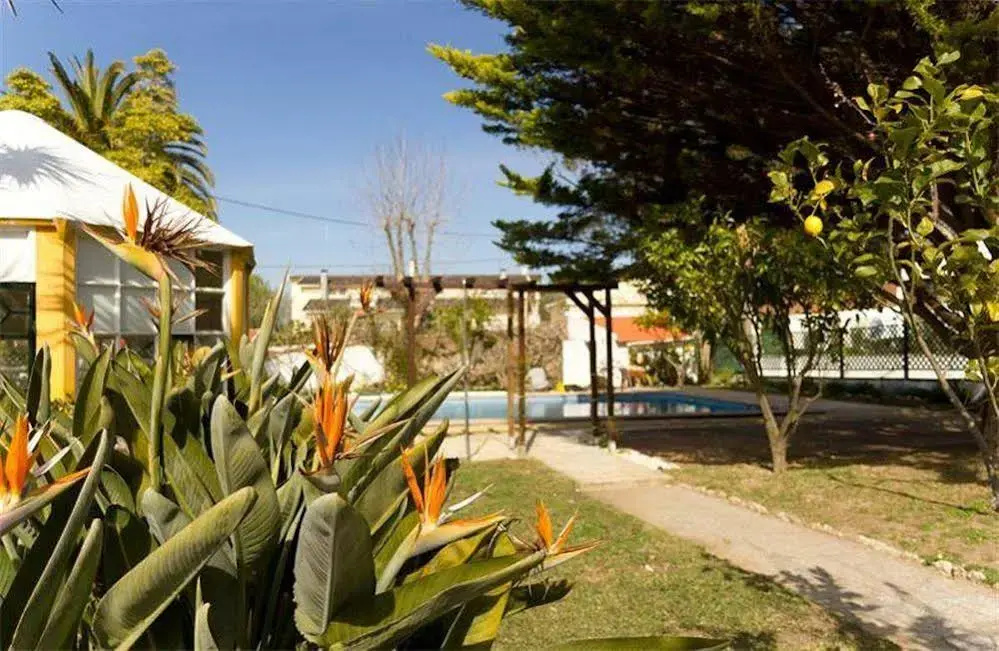 Hotel photo 45