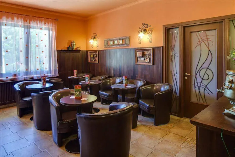 Hotel Regal Sinaia - Général