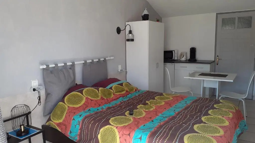 Voir la photo 3 — Studio et piscine au sel