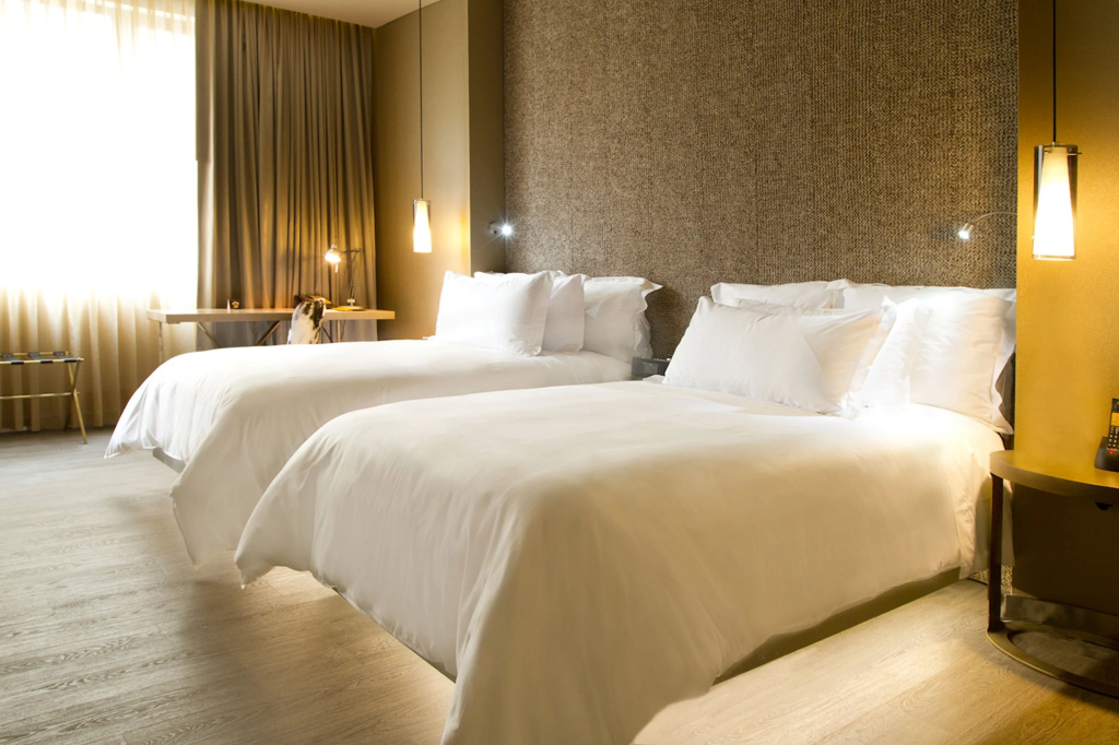 Superior Double room (twin beds)