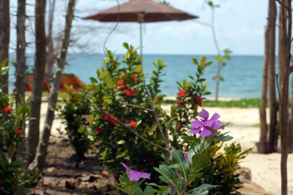 Gold Sand Beach Bungalow - Chambres