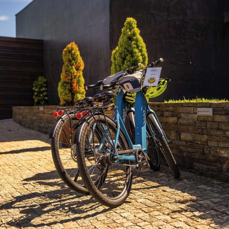 Quinta do Pedregal Hotel & Spa - Général