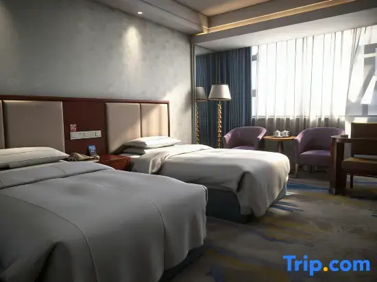 Business Double room (twin beds)