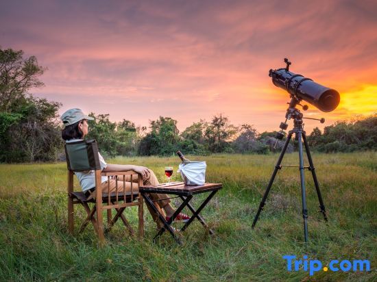 Mahoora Tented Safari Camp - Wilpattu