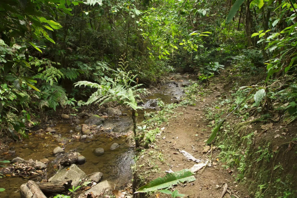 Villas Josipek - фото 17