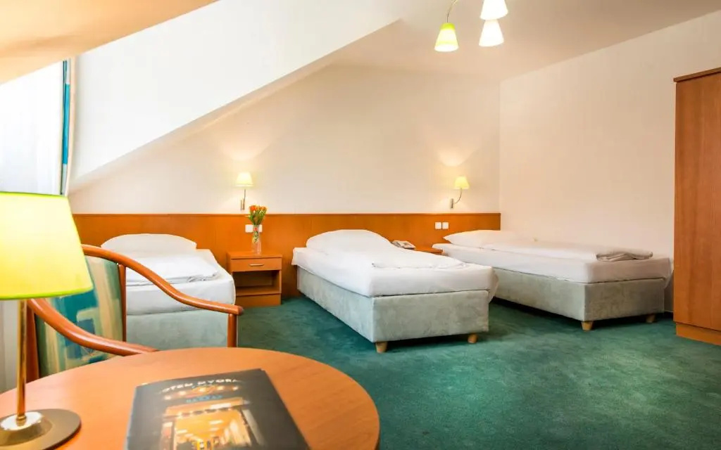 Hotel Dvořák - Chambres