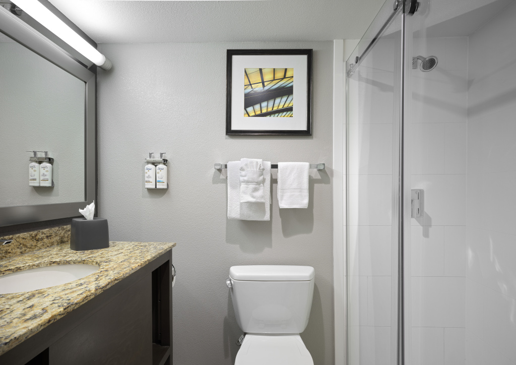 Holiday Inn St Louis SW - Route 66 by IHG - Général
