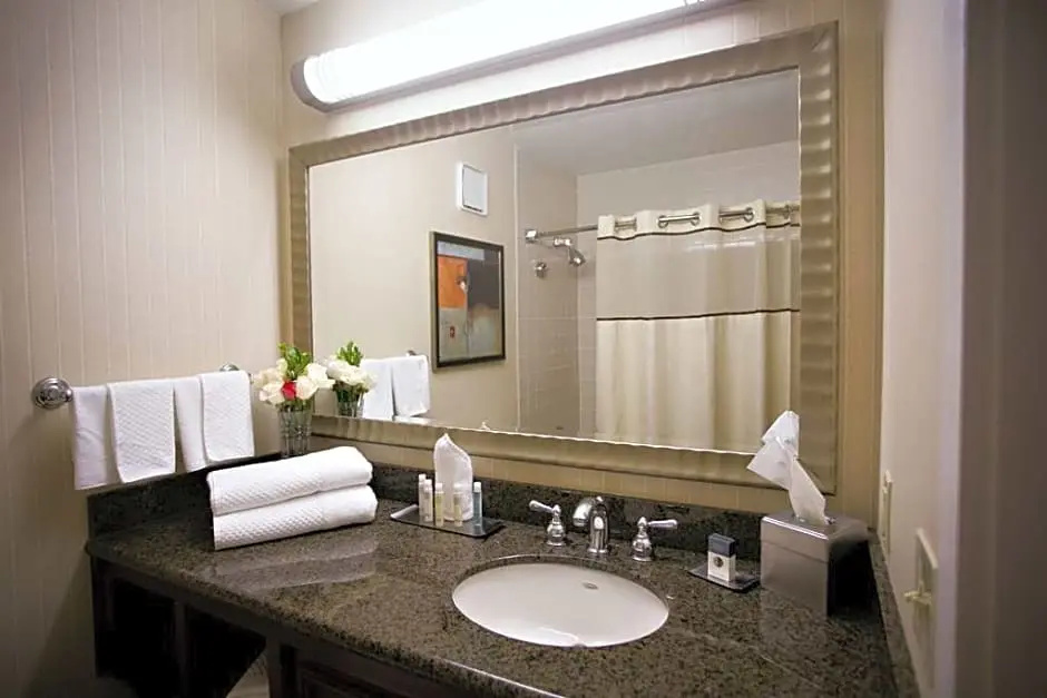 DoubleTree by Hilton Minneapolis - Park Place - Chambres