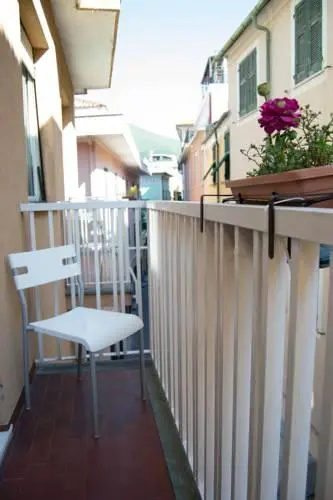 Balcony & Terrace