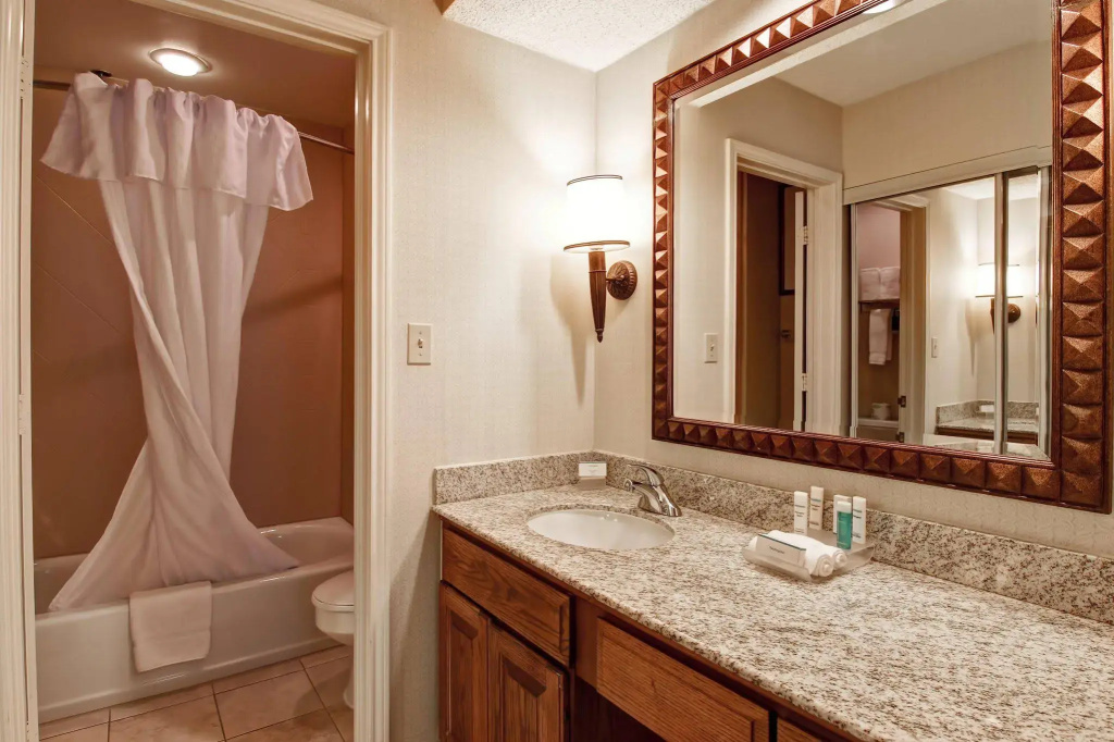 Homewood Suites by Hilton Dallas-Irving-Las Colinas - Général
