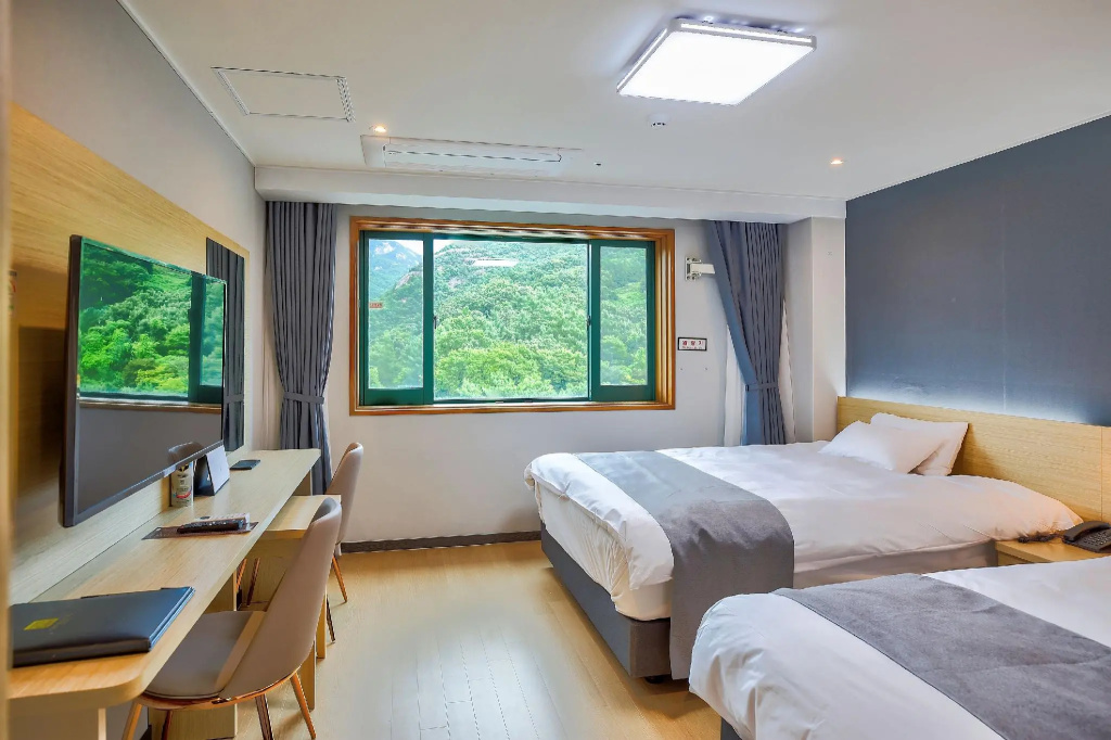 Standard Double room (twin beds)