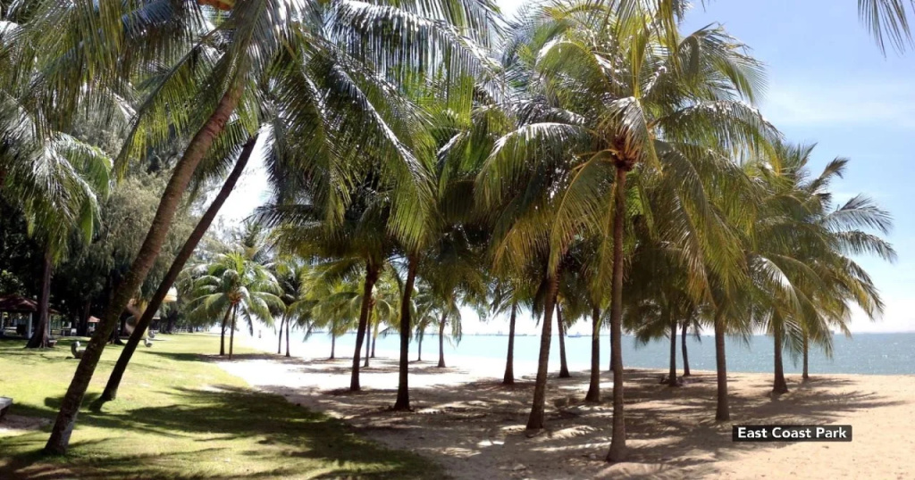 Beach & Waterfront