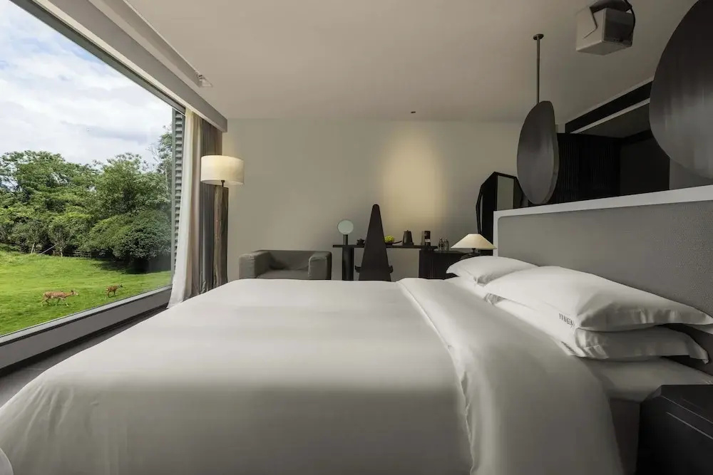 Hotel photo 36