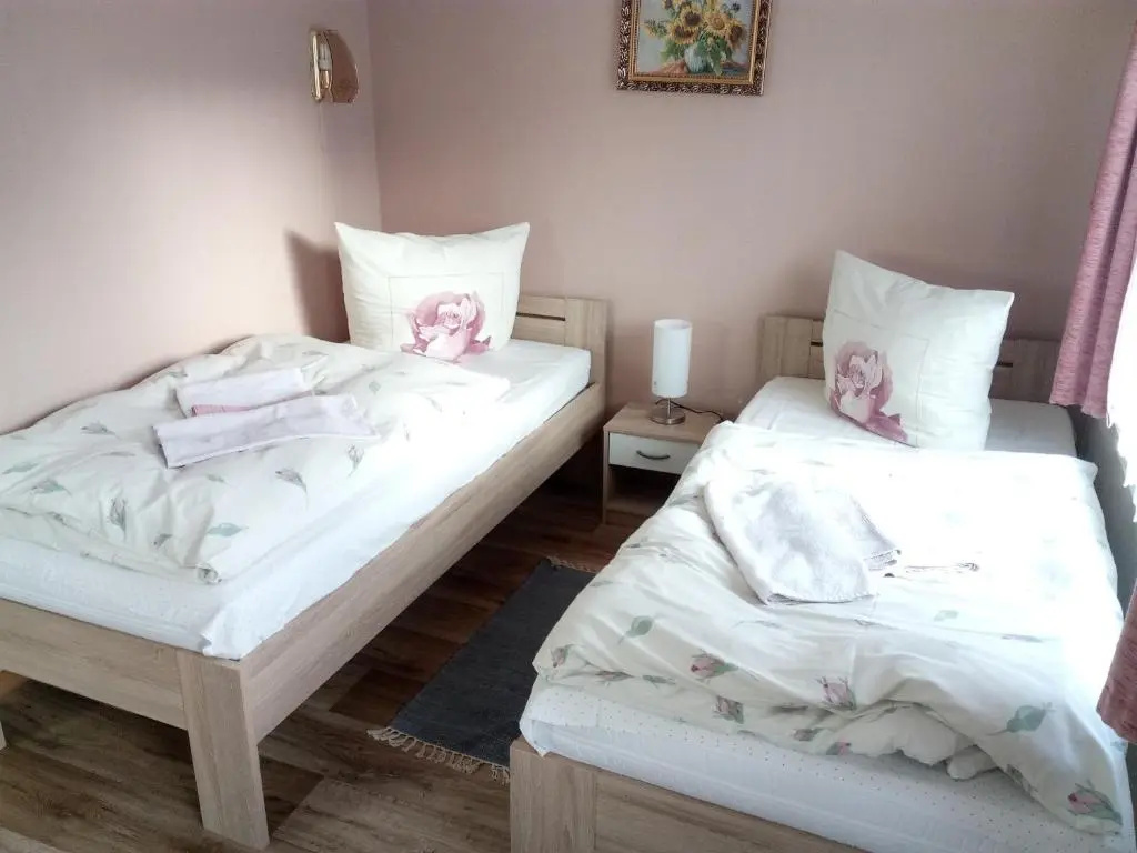Standard Double room (twin beds)
