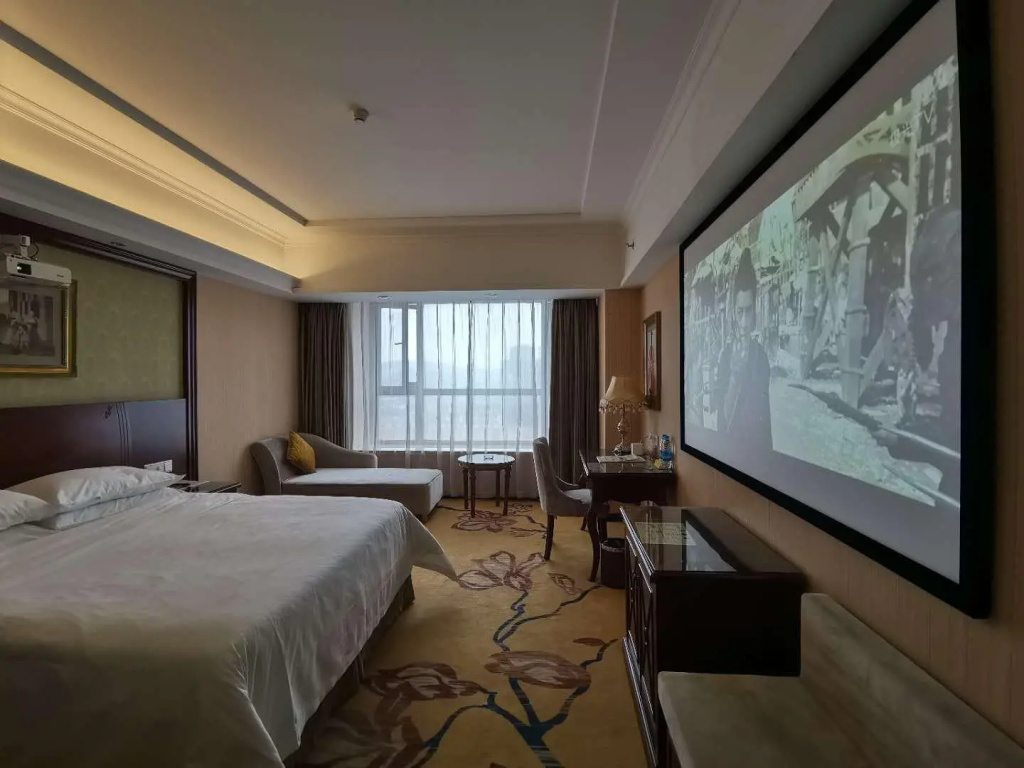 Vienna Hotel Xinyu Fenyi South Changshan Road Branch - Chambres