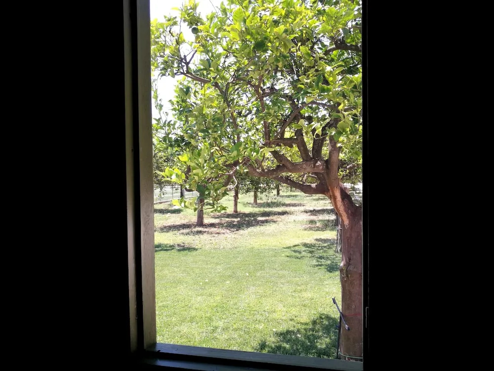 Economy room with view