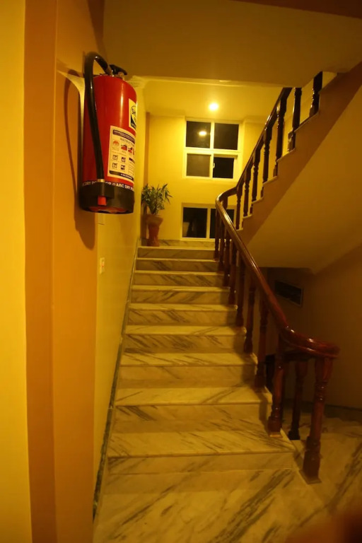Image 11