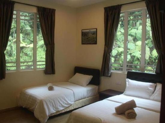 Arundina Cameron Highlands