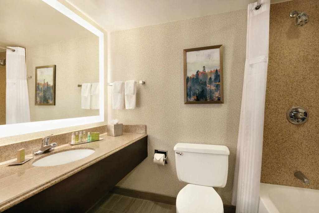 DoubleTree by Hilton Atlanta - Northlake - Général