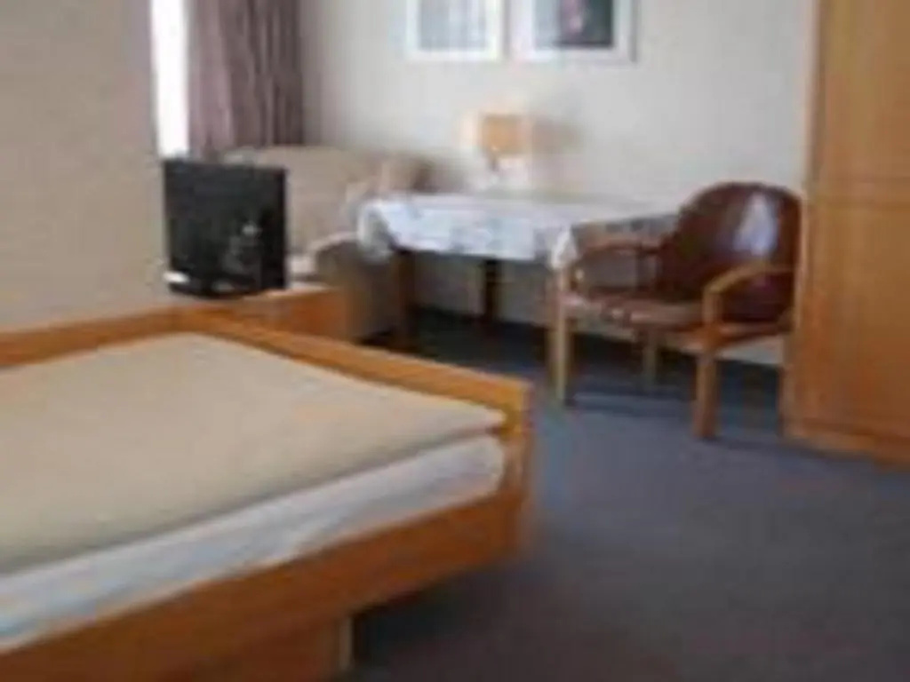 Standard Double room (twin beds)