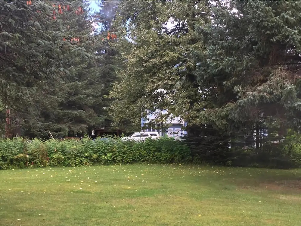 Alaska Dreamin' Lodging