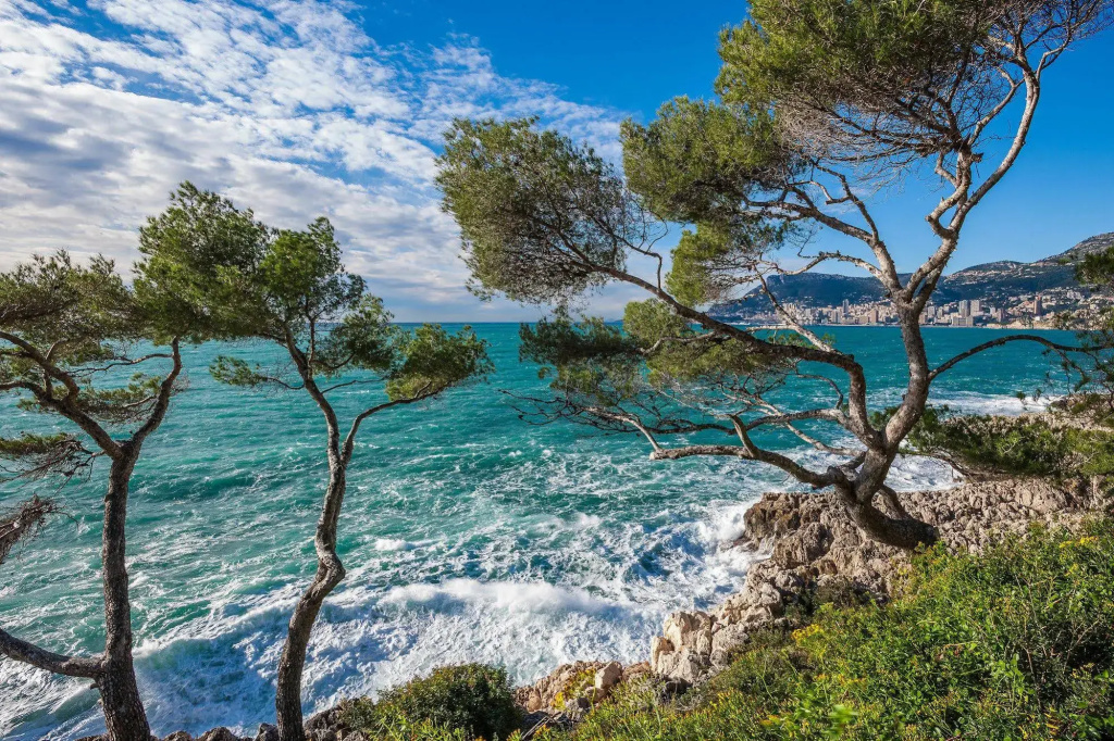 Ibis Roquebrune Cap Martin - Général