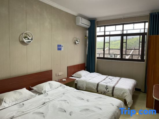 Standard Double room with mountain view (twin beds)