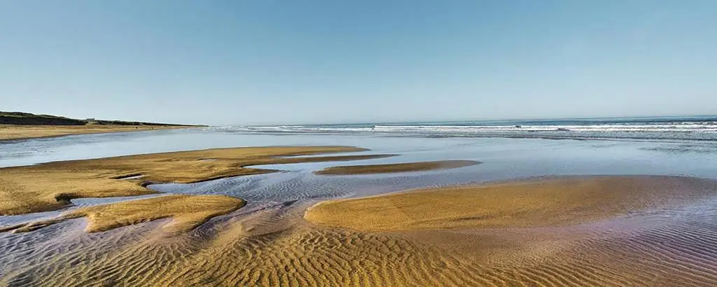 Afficher la photo 6 — Maison pour 8 personnes au cœur de la Sauzaie et à 600 m de la plage