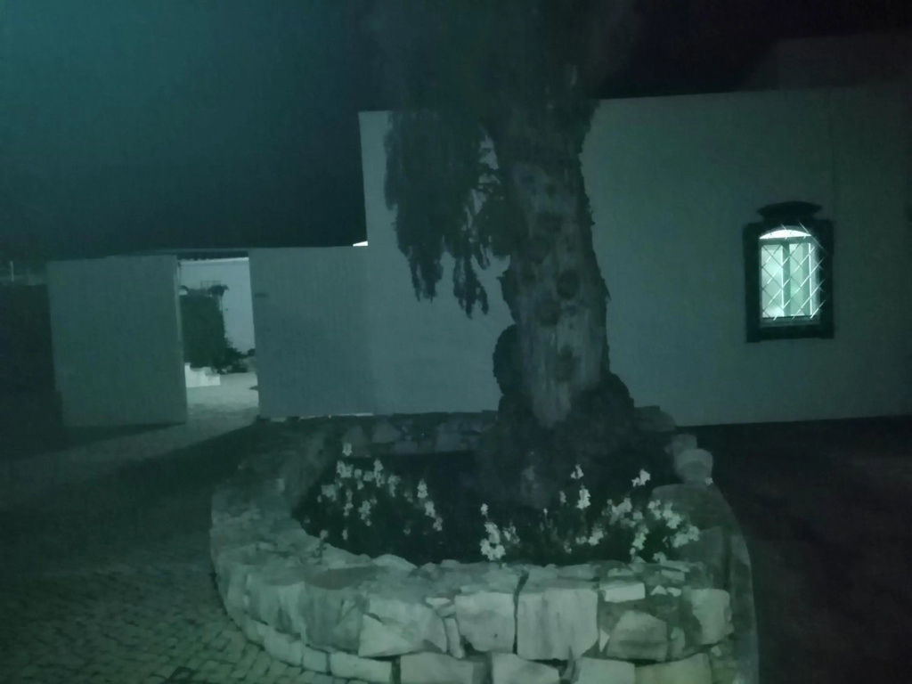Casa de Férias Medronhal Faro