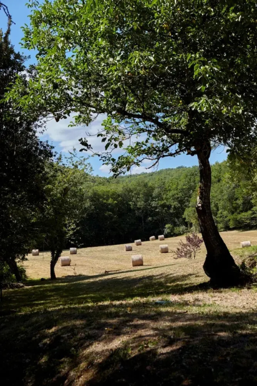 Afficher la photo 6 — Le Gîte étoilé