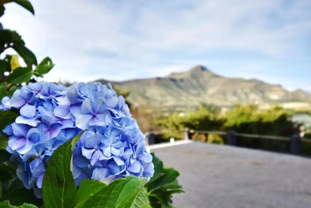 Golden View Luxury Self Catering - Chambres