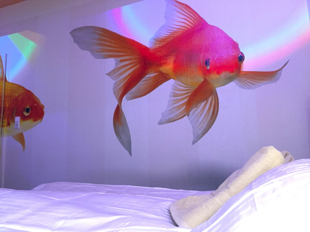 Hotel photo 18