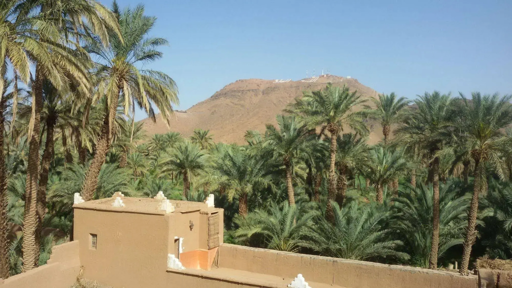 Riad Dar Zaouia