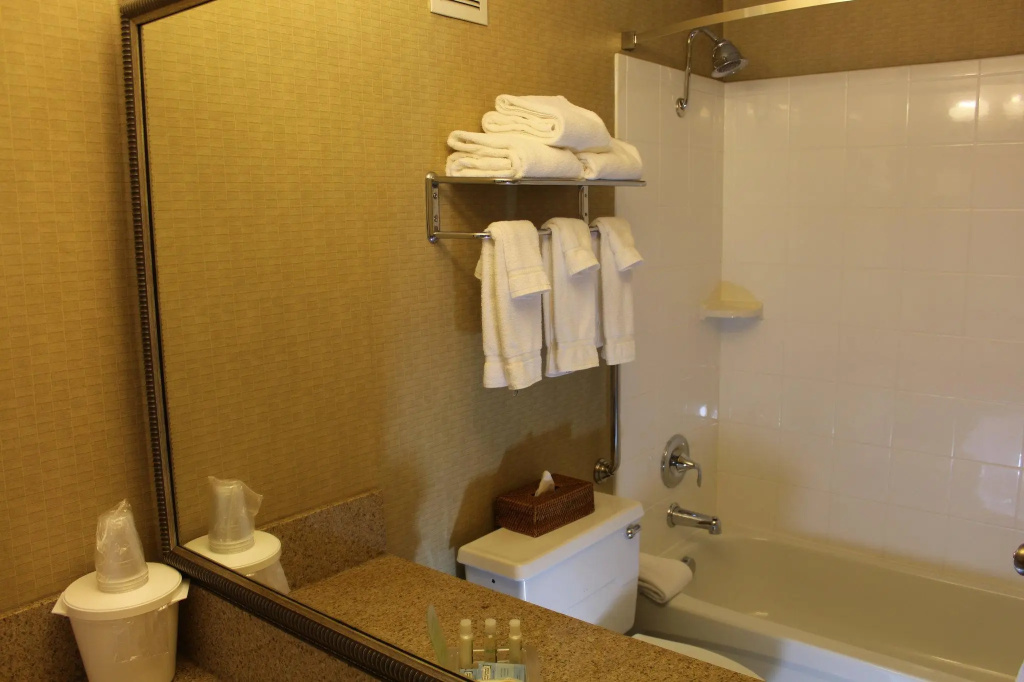 3 Rivers Hotel - Chambres