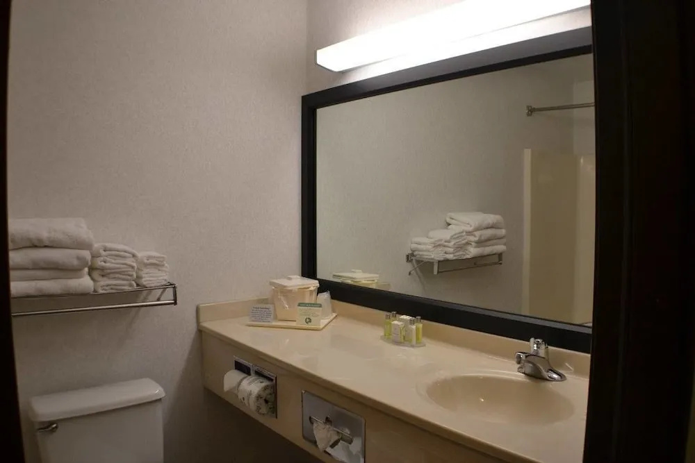 Comfort Inn - фото 8