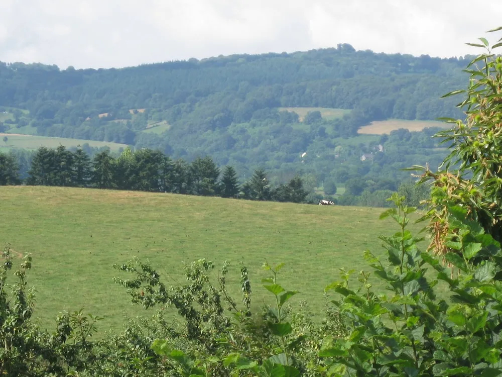 Le Petit Clos