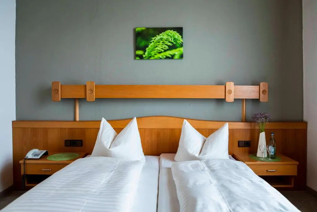 Standard Double room (full double bed)